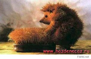 Фотоподборка за 09.12.2014