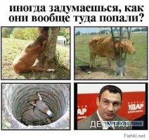 Мер Запарожья Син послал на х... Ляшко