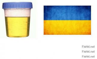 Новосибирский енот-полоскун