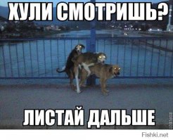 Тайная комната под озером