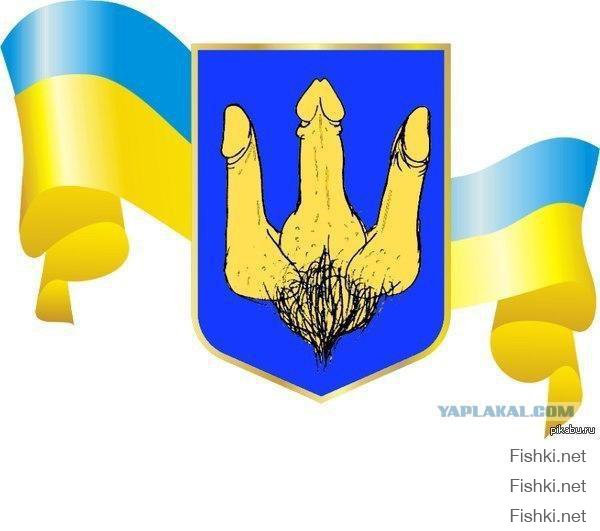 Украинские военнопленные попросили прощения у жителей Донбасса