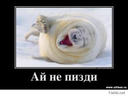 Демотиваторы про Укро-ину 8