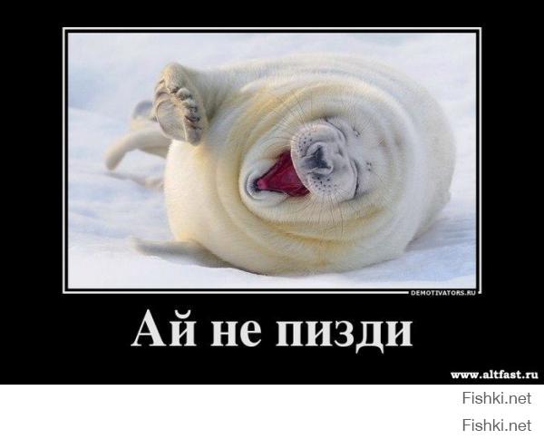 Демотиваторы про Укро-ину 8