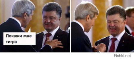 "Мыздобулы" в картинках. Смешных и не очень...