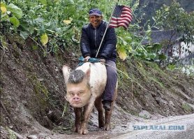 Госдеп США через речевой аппарат Псаки заявил, что Порошенко лжёт