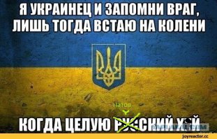 Дорогие украинцы! Вы в своем уме?