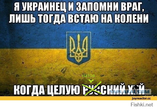 Дорогие украинцы! Вы в своем уме?