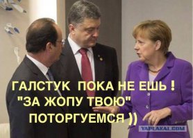 "Мыздобулы" в картинках. Смешных и не очень... Ч.3