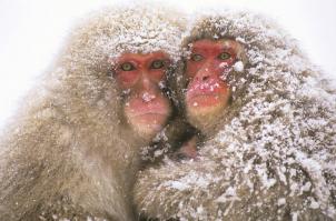 Украина отложила строительство стены на границе с Россией