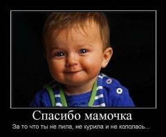 Простые способы предотвратить похмелье