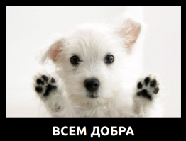 Парад колясок