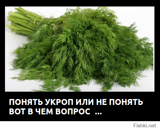 на Украине началась процедура легализации фашизма
