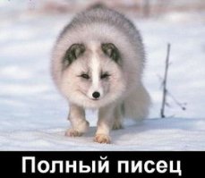 Загадочная Эвенкия. Потерянная нация