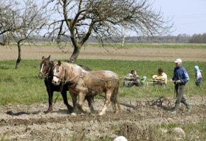 пахать ... работать она не умеет