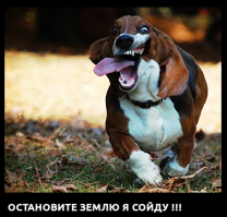 Карательный косплей