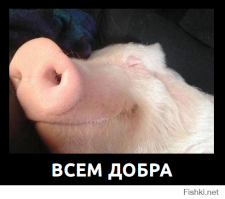 Нестандартная мимика у животных