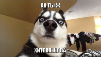 Как приготовить мясо 