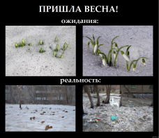 Наступила весна!