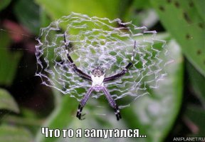 Ученым удалось запутать на квантовом уровне около 3 тысяч атомов 