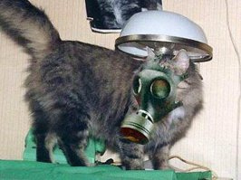 Костюм для младенца