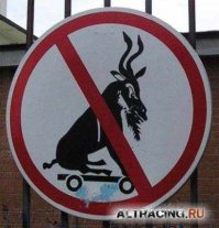 15 дорожных знаков со скрытым смыслом