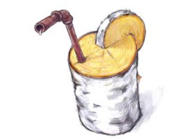 Как окрошечки-то захотелось...
А пока не распустились почки надо не пропустить