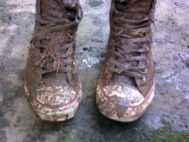 Весна... Хипстеры в кедах..