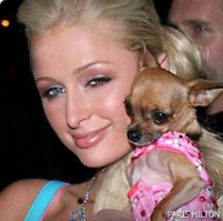 А ты, я вижу, брутальный мужыг?))