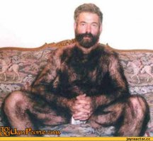 24 самых пушистых животных 