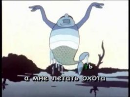 Раз в году скаты становятся птицами