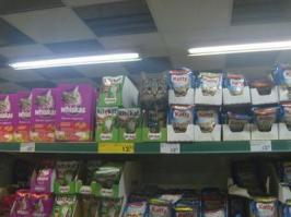 Продавец-консультант :)