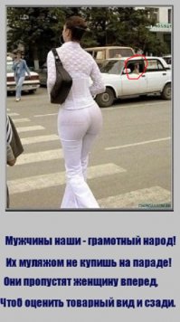 Собака за рулём!!!