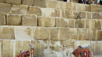 Называется, скол обыкновенный))