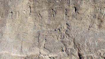 Странно, Вы же выкладывали (вроде опять мою фотку) и говорили, что там следы циновки, я выкладываю аналогичные, и уже не следы циновки?
Хорошо,а здесь следы от чего?