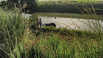 Я часто там аварии видел