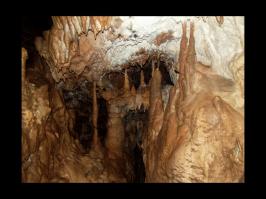 Южный слон, Рожкао