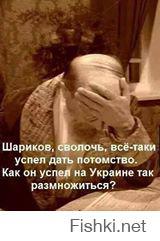 его мозг сьели собаки