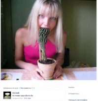 Чудики из социальных сетей