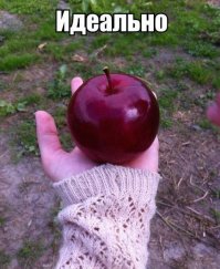 Рай перфекциониста