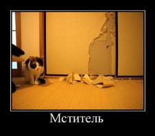 Котоспиритизм
