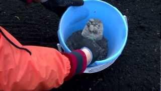 - Дорогой, хочу новые сережки
- На дорогая, для тебя ничего не жалко, ща еще и колечко черпану