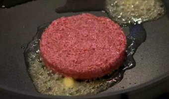 Мясом из пробирки можно накормить волков!