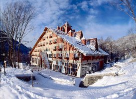 Земли много, руки из правильного места. Пусть подделывают.
У нас вон тоже в Красной поляне скопировали альпийскую архитектуру. Могли бы ещё какой городок отстроить, но у нас холоднее.