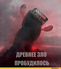 Сибиряки шокировали Запад кормлением медведя с рук