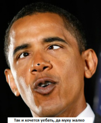 "...Война с Россией неминуема"