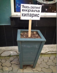 вор на воре