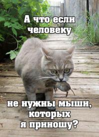 Смешные комментарии из социальных сетей 22.09.14