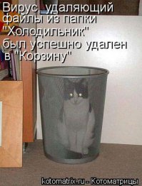 Картинки со смешными подписями