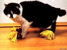 23 исключительно полезных изобретения 