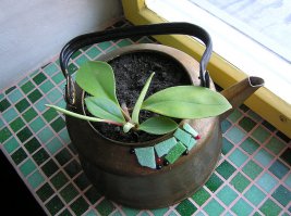 Я тоже так делаю, и меня не исправить делайте что хотите.
Вот мои пацыенты:
З.Ы. По ай пи меня не вычислить я через тор заходил. АХАХА